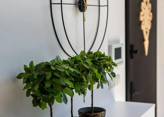 100m2 Z Widokiem Na Giewont Apartment *