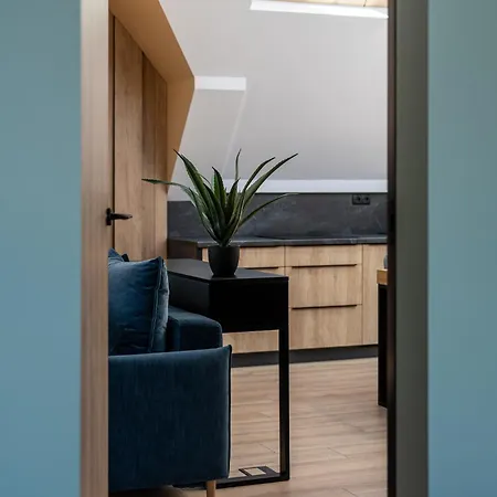 100m2 Z Widokiem Na Giewont Zakopane