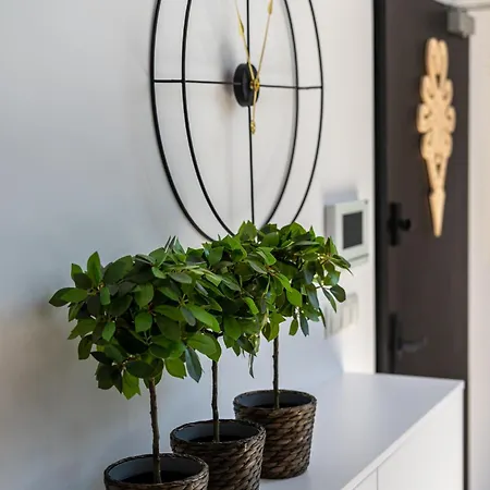 100m2 Z Widokiem Na Giewont Appartamento *