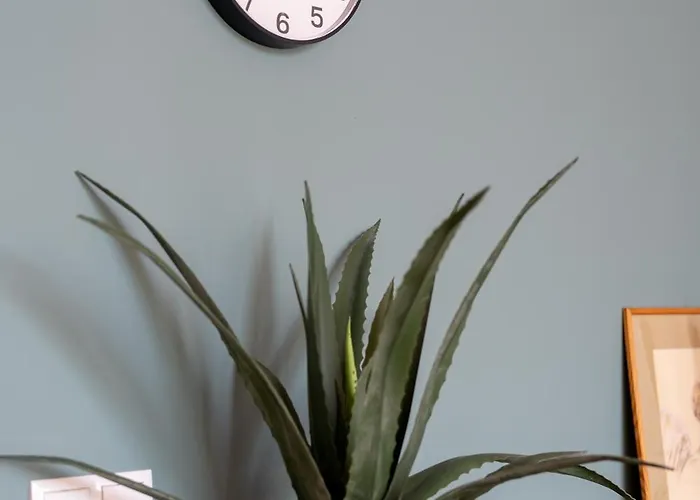 100m2 Z Widokiem Na Giewont Appartement *